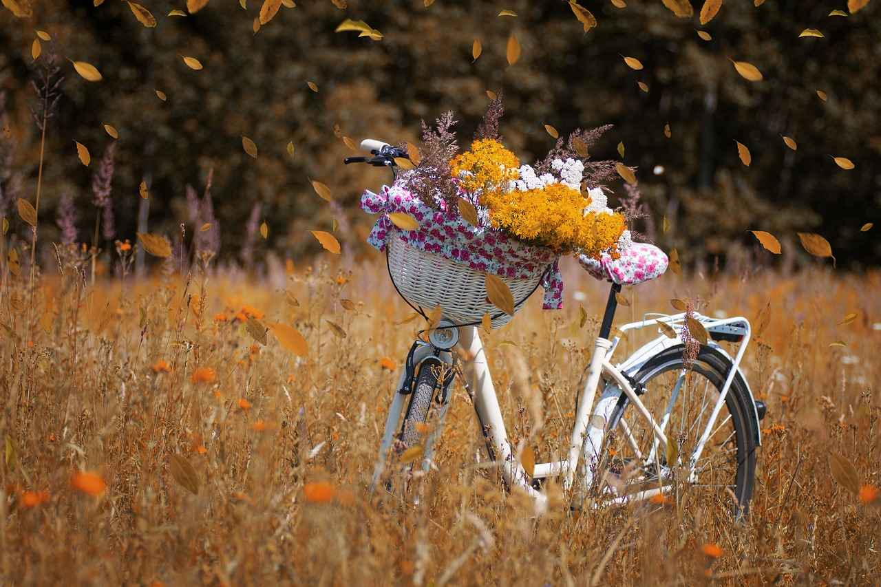 Best Electric Bikes 2025: Top Picks for Speed, Comfort, and Durability 1 1. Why Choose an Electric Bike?