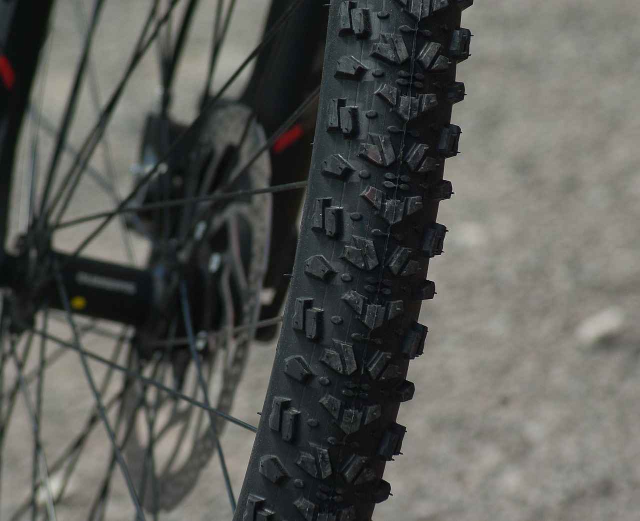 Conclusion: Embrace Winter Riding Adventures