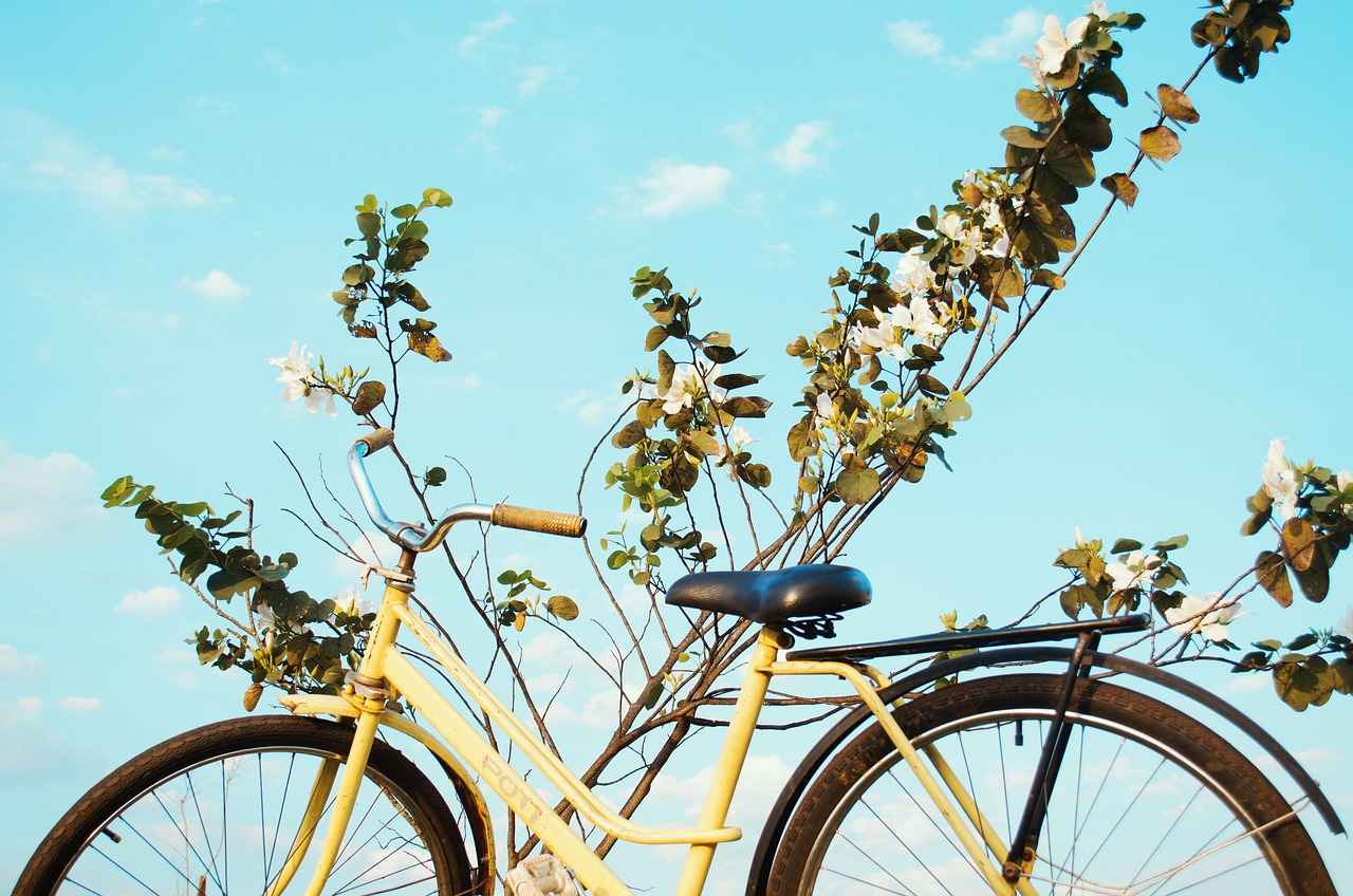 Top Features to Look for in a Winter Electric Bike