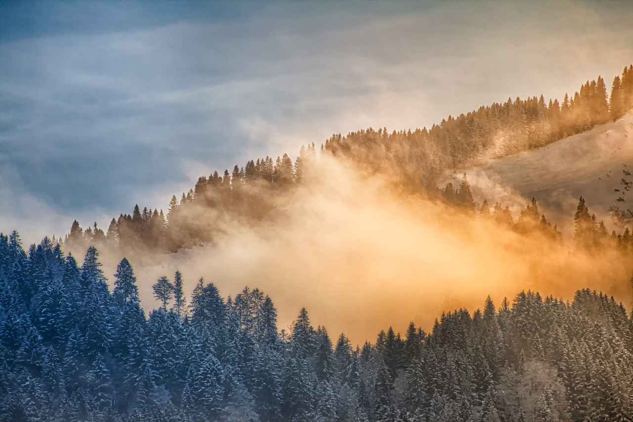 Legal Considerations for Riding in Winter