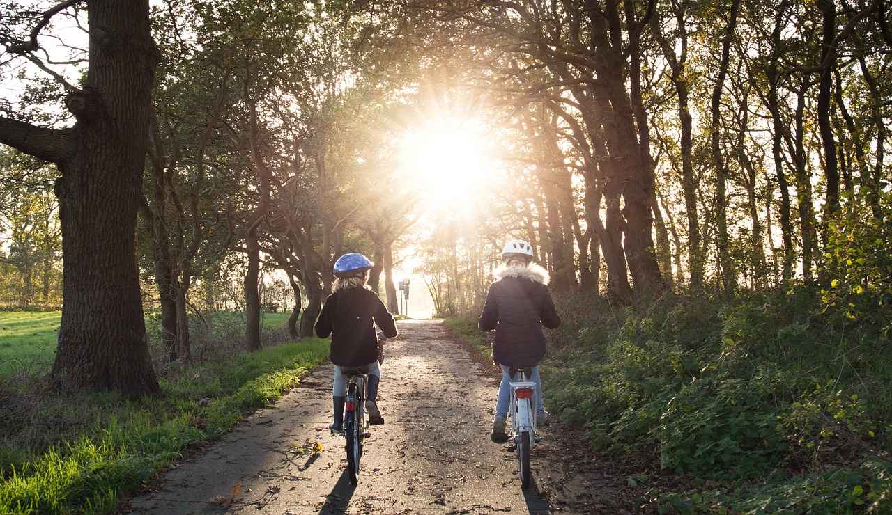 What to Look for in an Electric Bike
