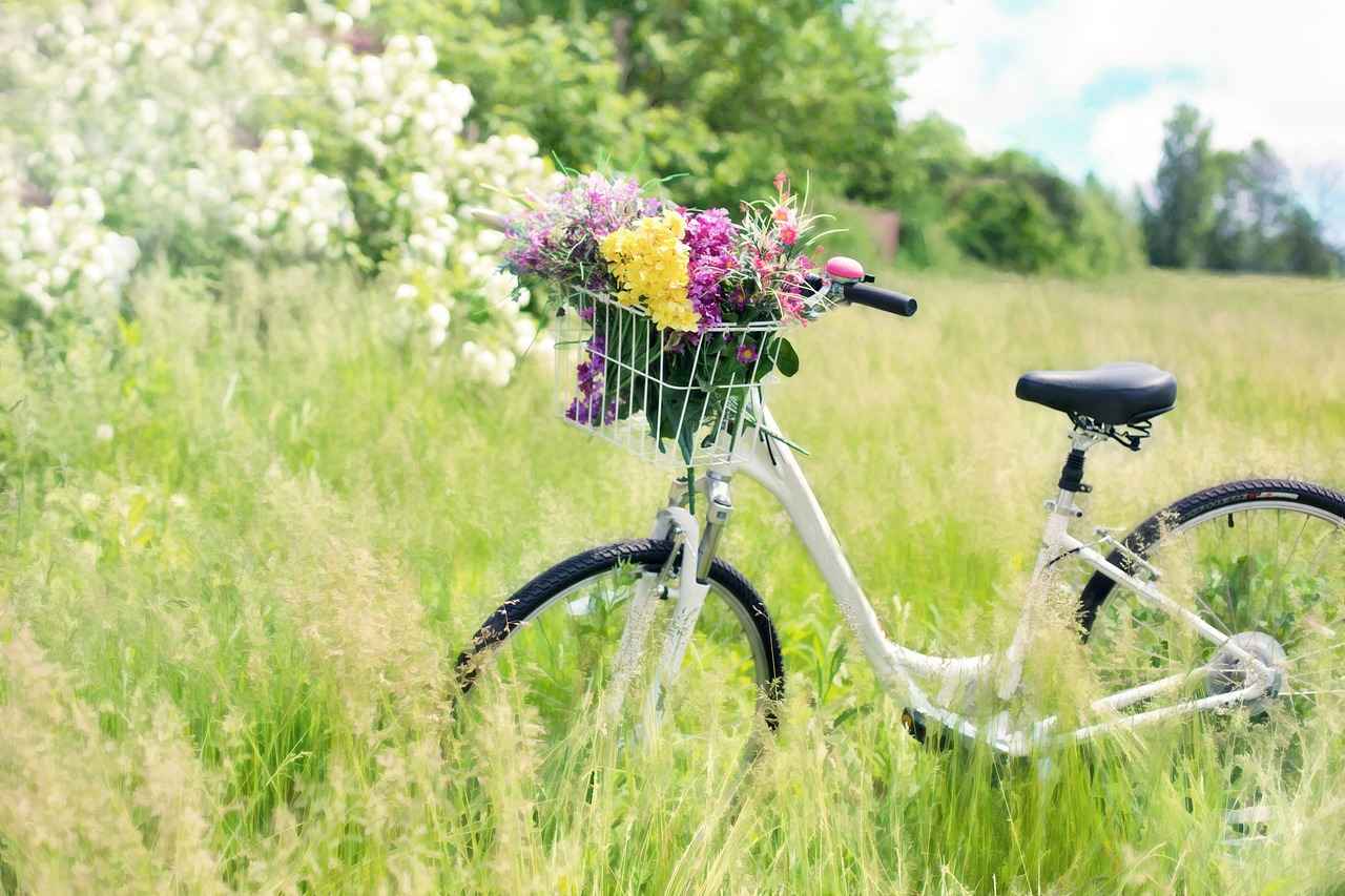 12. Smartphone Apps for E-bike Management