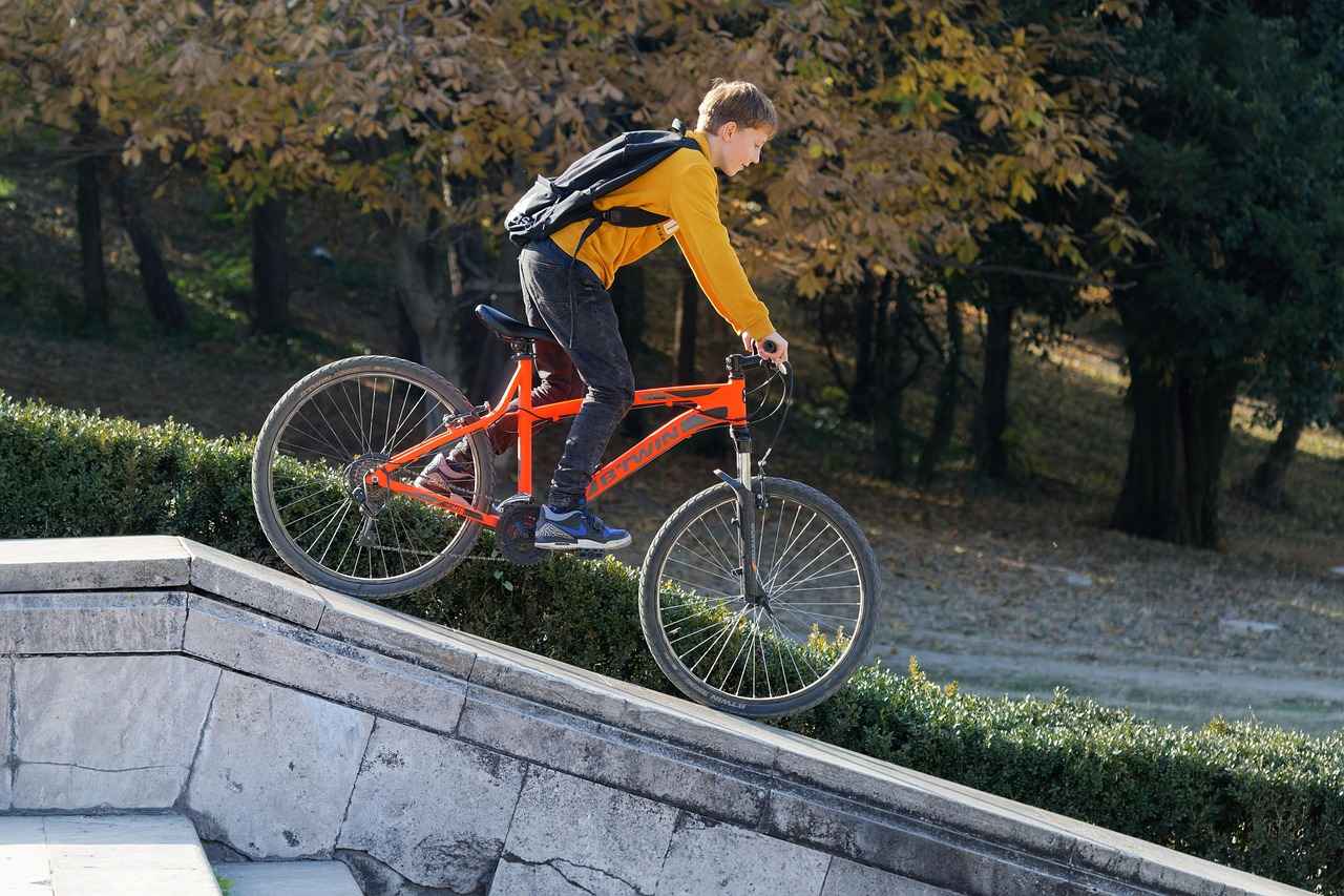 7. Conclusion: Is an Electric Bike Worth the Investment?