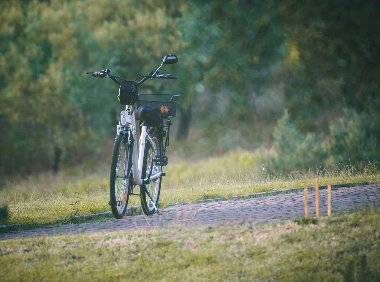 Types of Electric Bike Kits