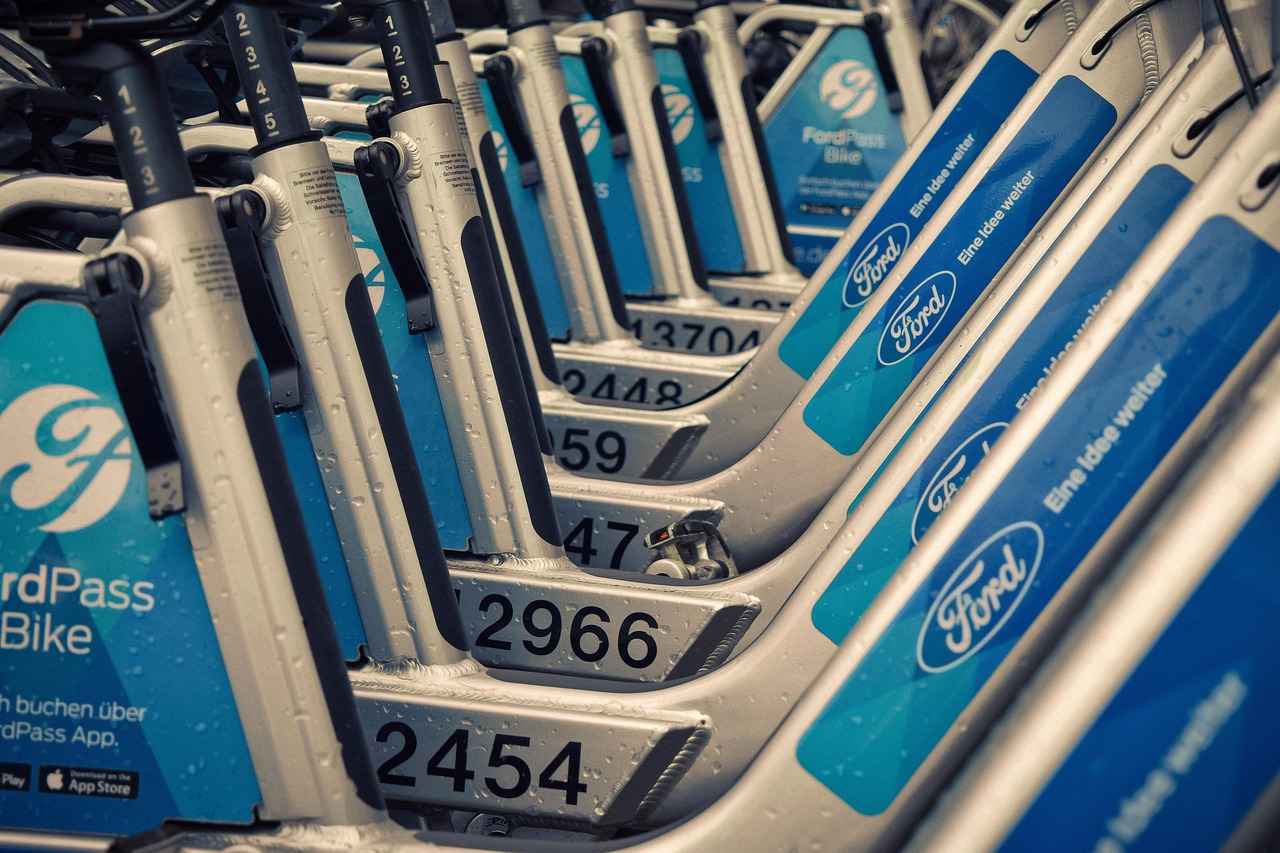 Why Choose Electric Bike Rentals?
