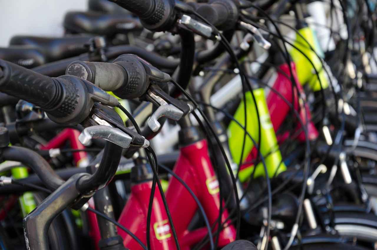 Tips for a Successful Electric Bike Rental Experience
