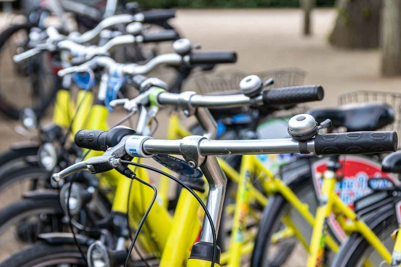 Costco's Electric Bike Selection