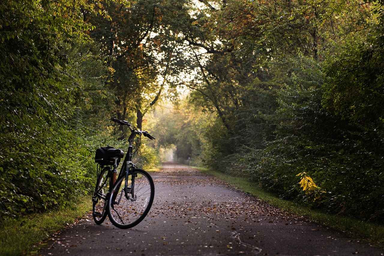 Electric Bike Rental Regulations