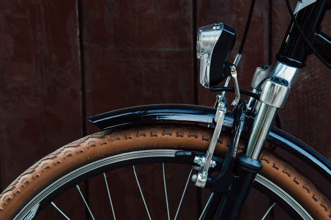 Who Should Invest in Fat Tire Electric Bikes?
