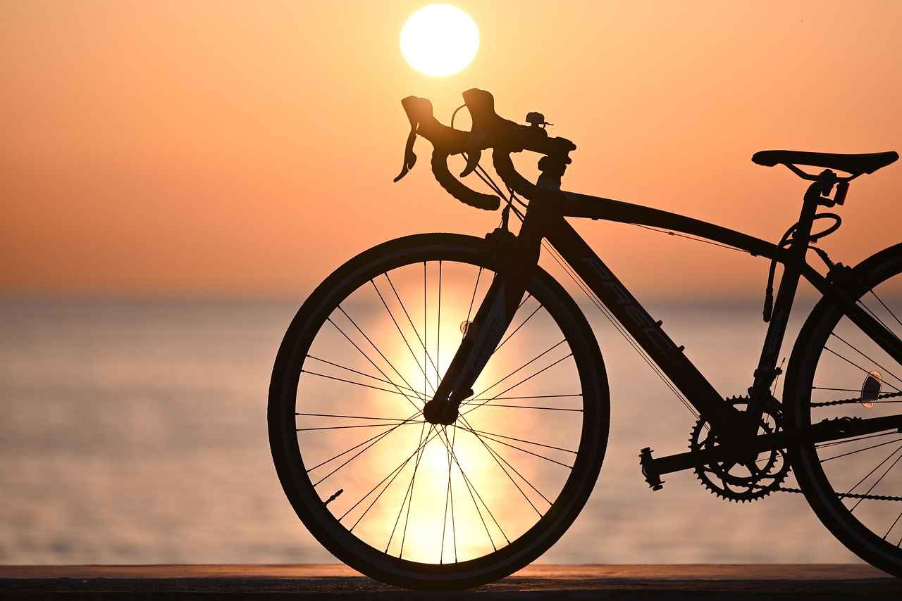 Why Choose an Electric Bike?