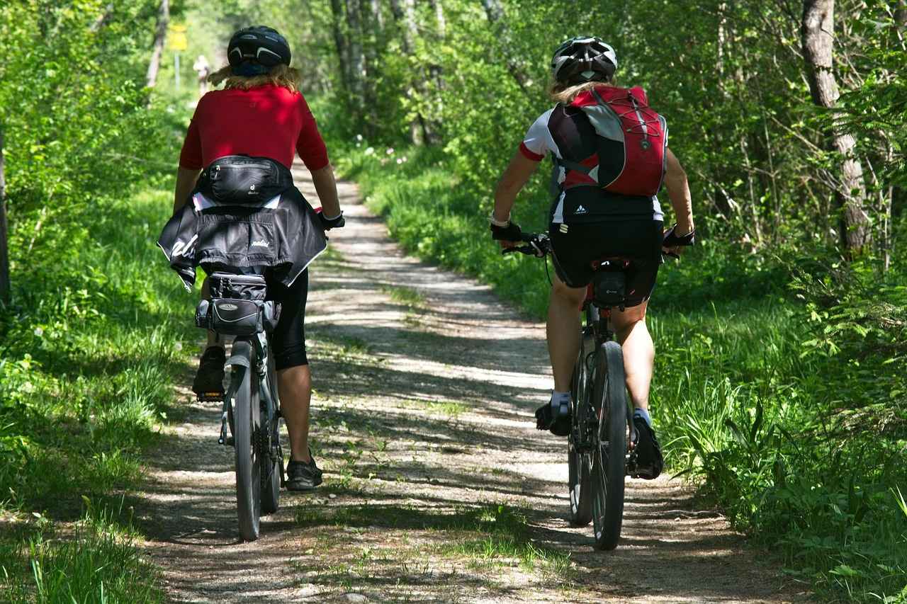 Maintaining Your Electric Bike