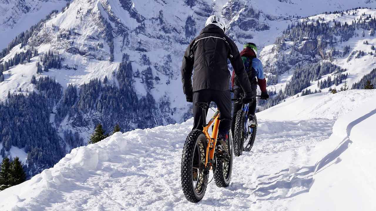 Best Fat Tire Electric Bikes on the Market