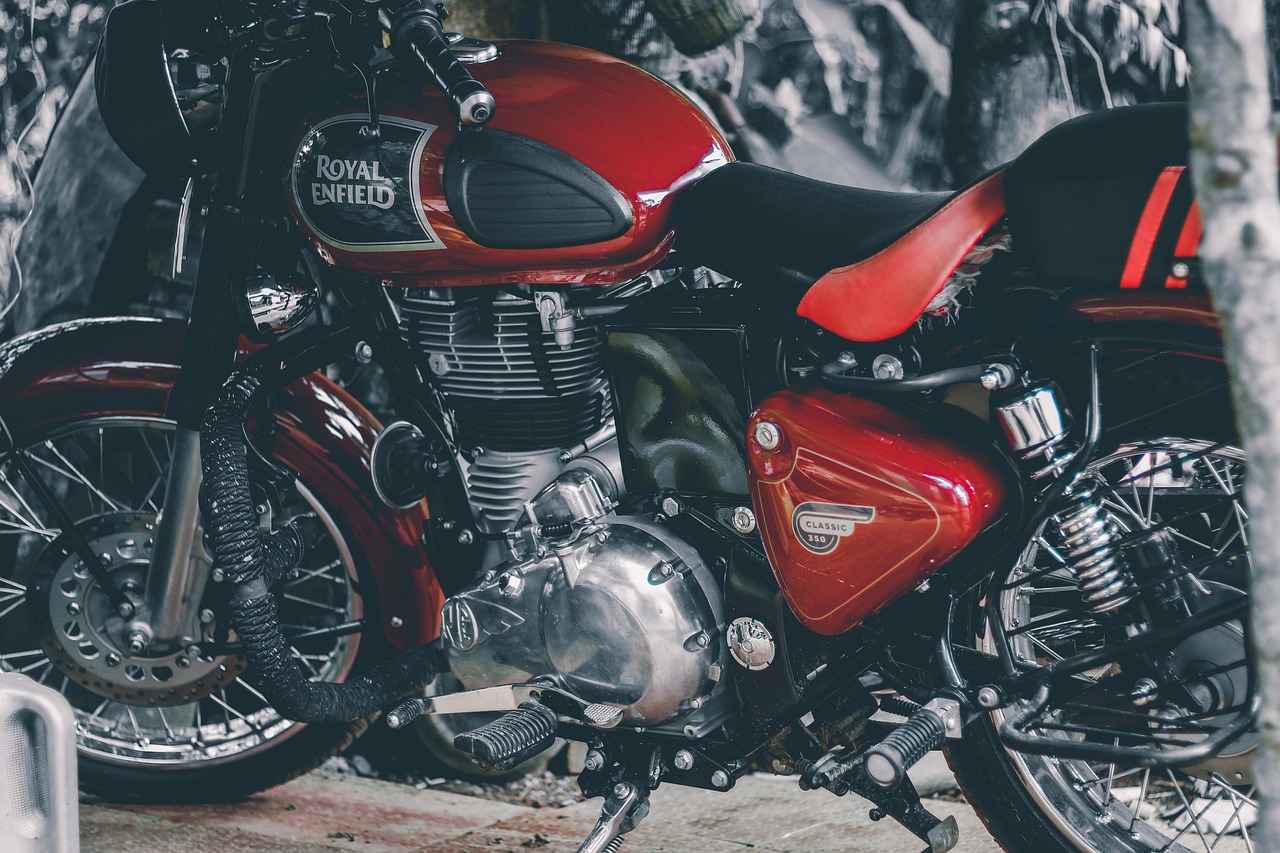 11. User Reviews and Experiences