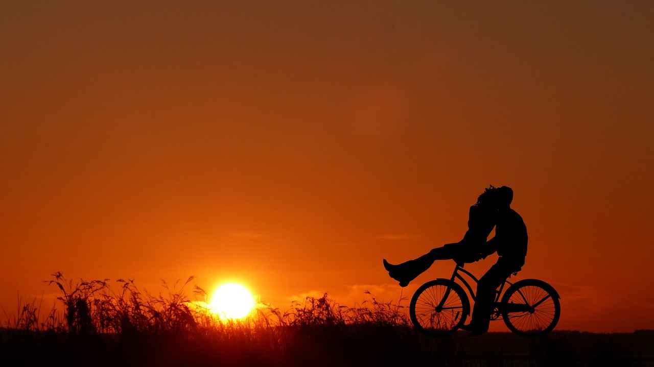 Choosing the Right Specialized Electric Bike