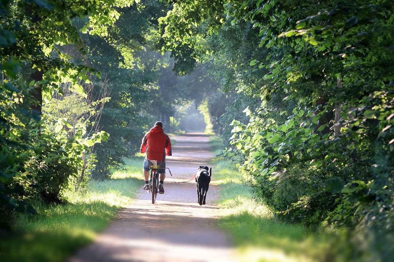 Best E-Bike Conversion Kits to Upgrade Your Bike in Minutes