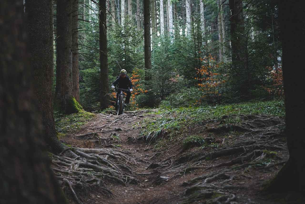 What is an Electric Dirt Bike?