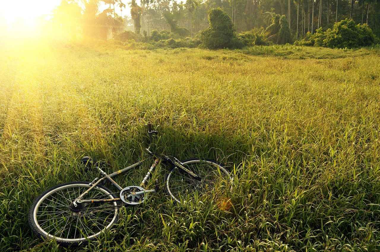 Conclusion: Choosing the Right Bike for You