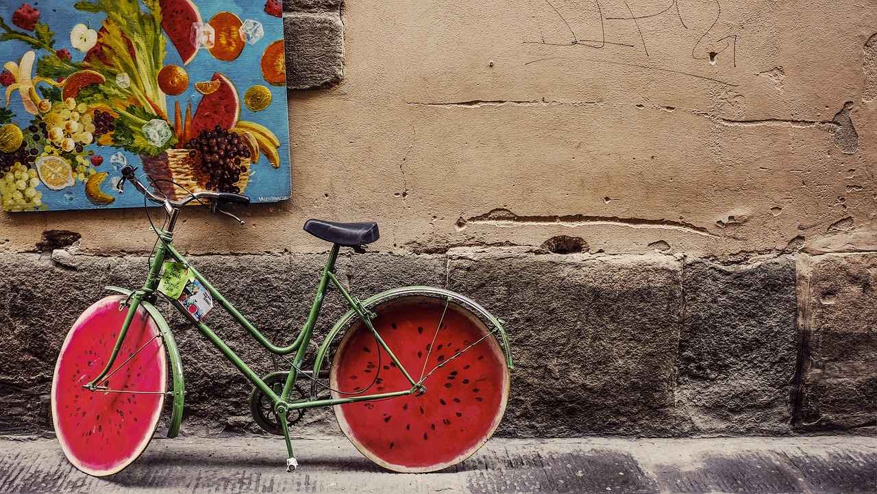What to Look for in an Electric Bike Rental