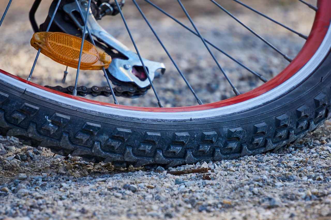 Fat Tire Electric Bikes: How They Perform on Different Terrains