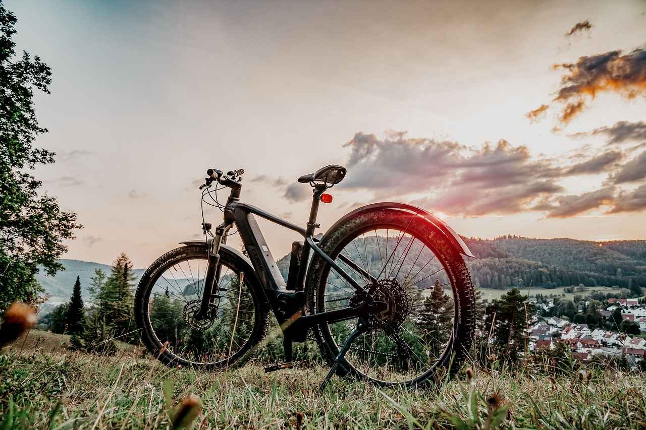 Understanding Electric Bike Types
