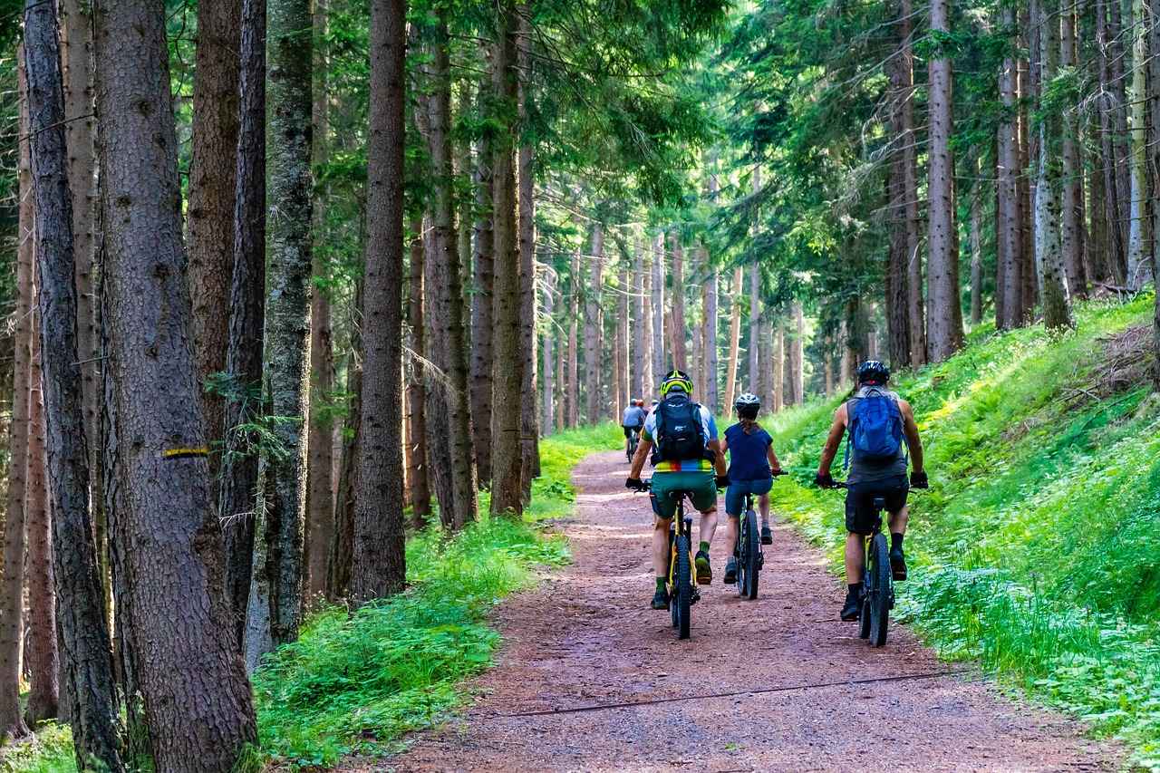 Benefits of Electric Bikes