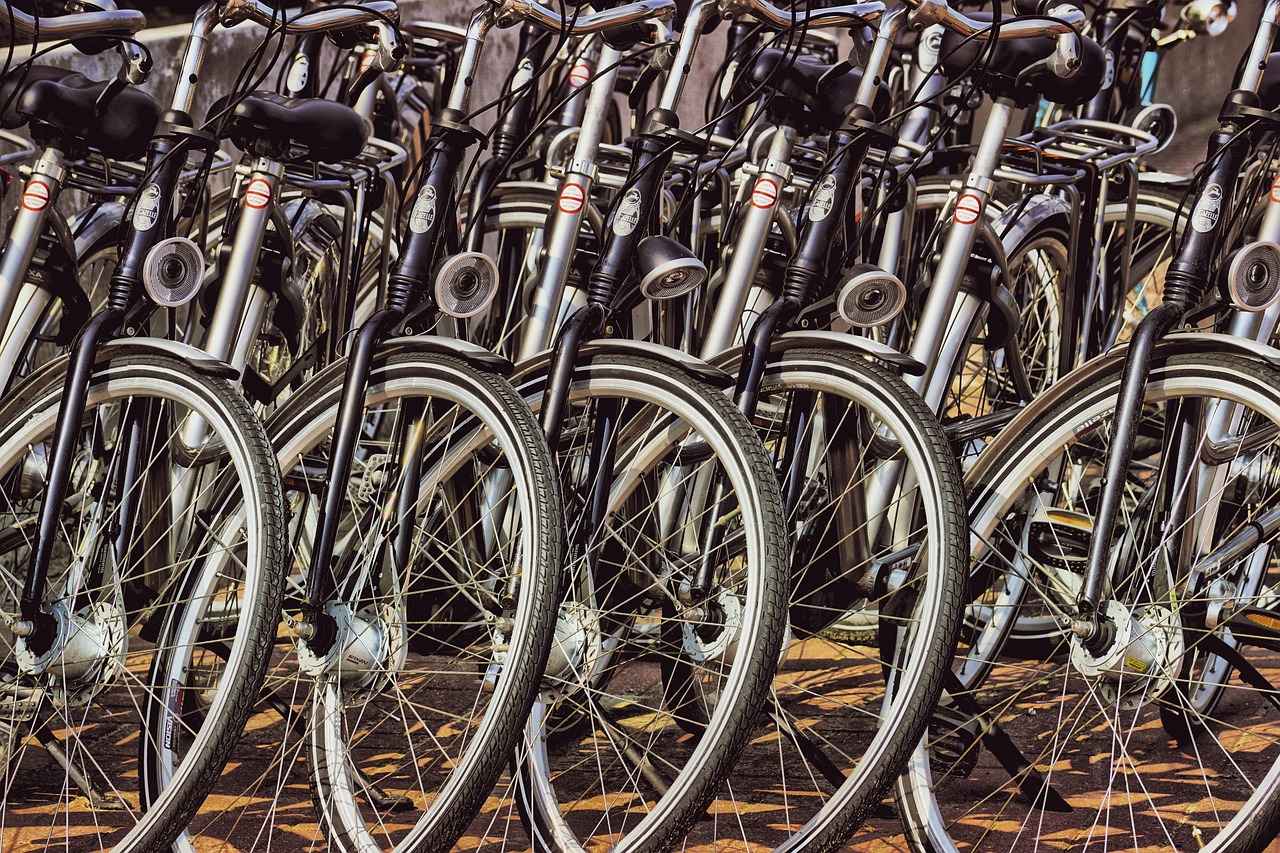 Understanding Electric Bike Rentals