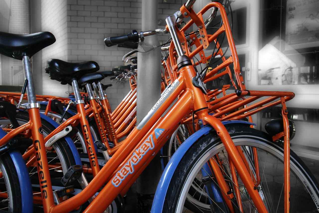 Tips for Choosing the Right Electric Bike