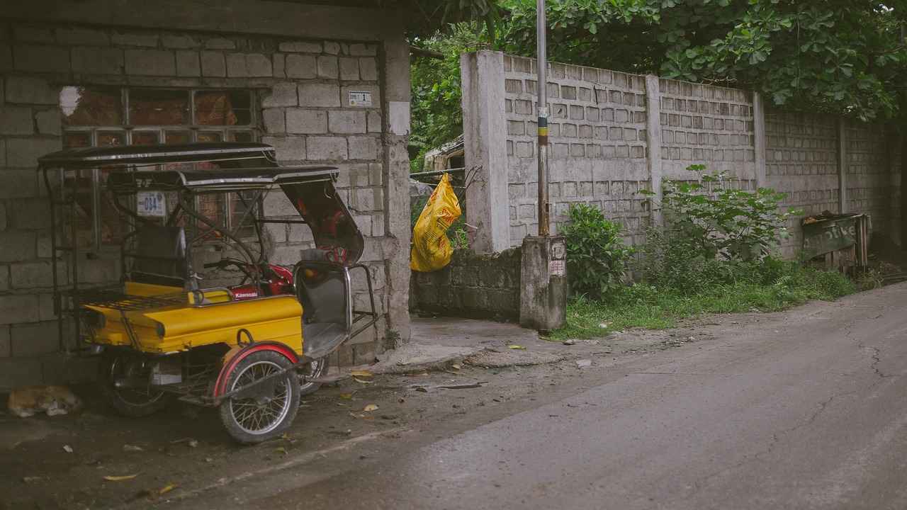 Understanding Electric Tricycle Bikes