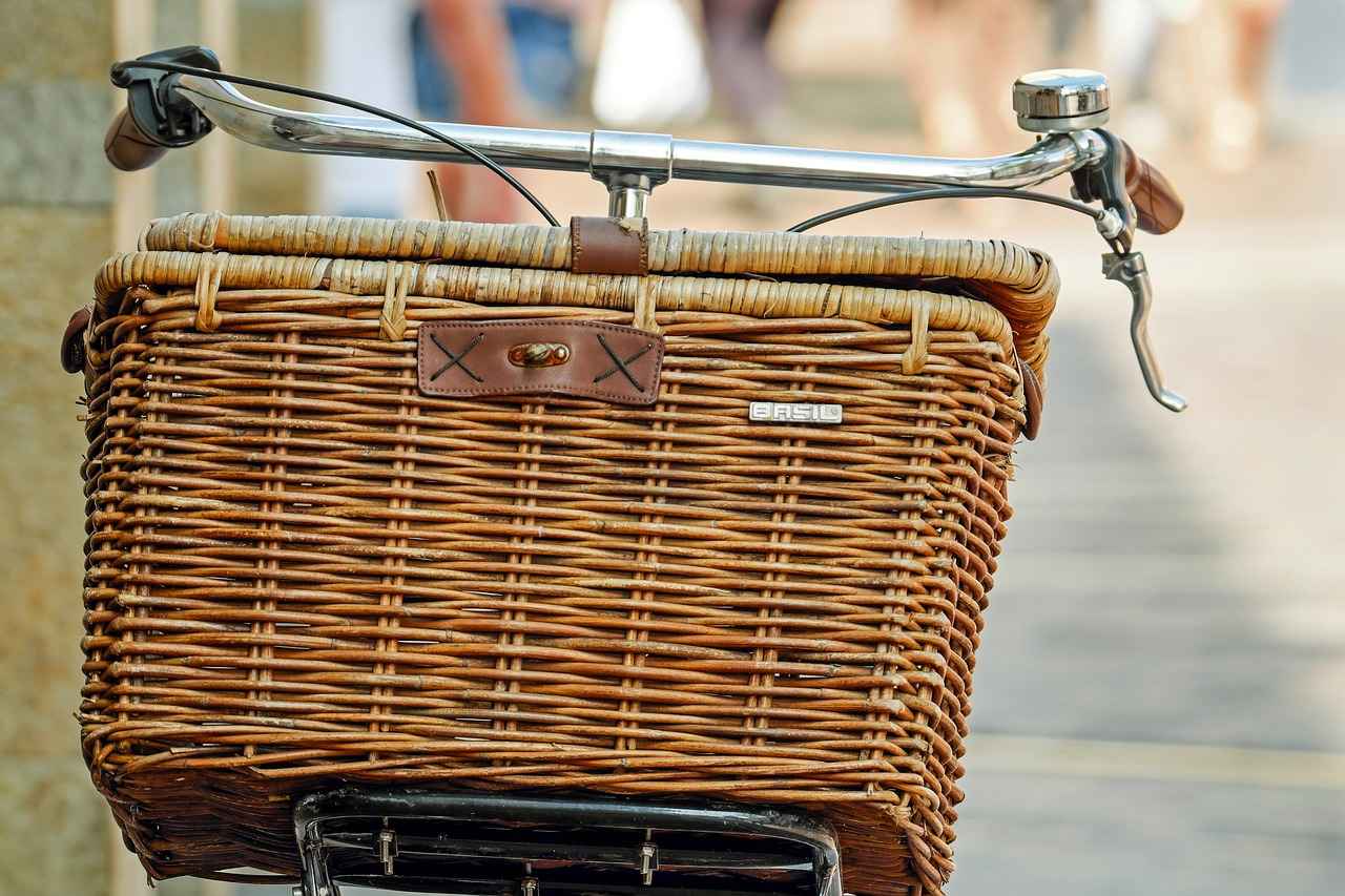 What is a Foldable Electric Bike?