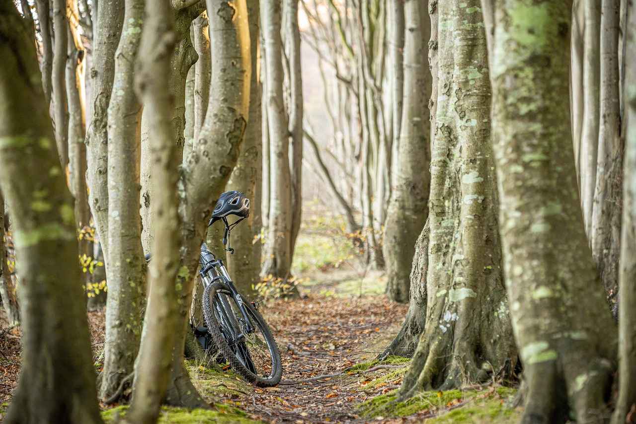 7. Choosing the Right E-Bike for Commuting