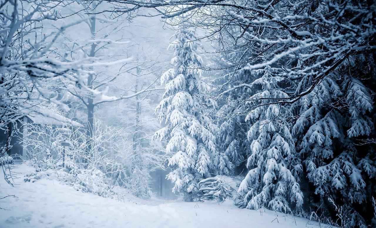 Safety Tips for Riding in Winter Conditions