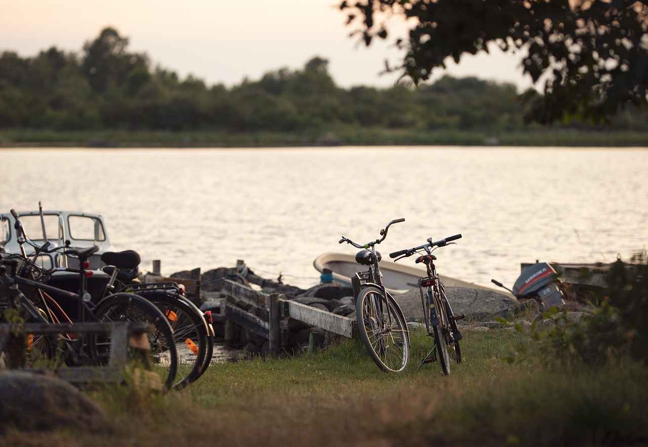 7. Conclusion: Choosing the Right Electric Dirt Bike