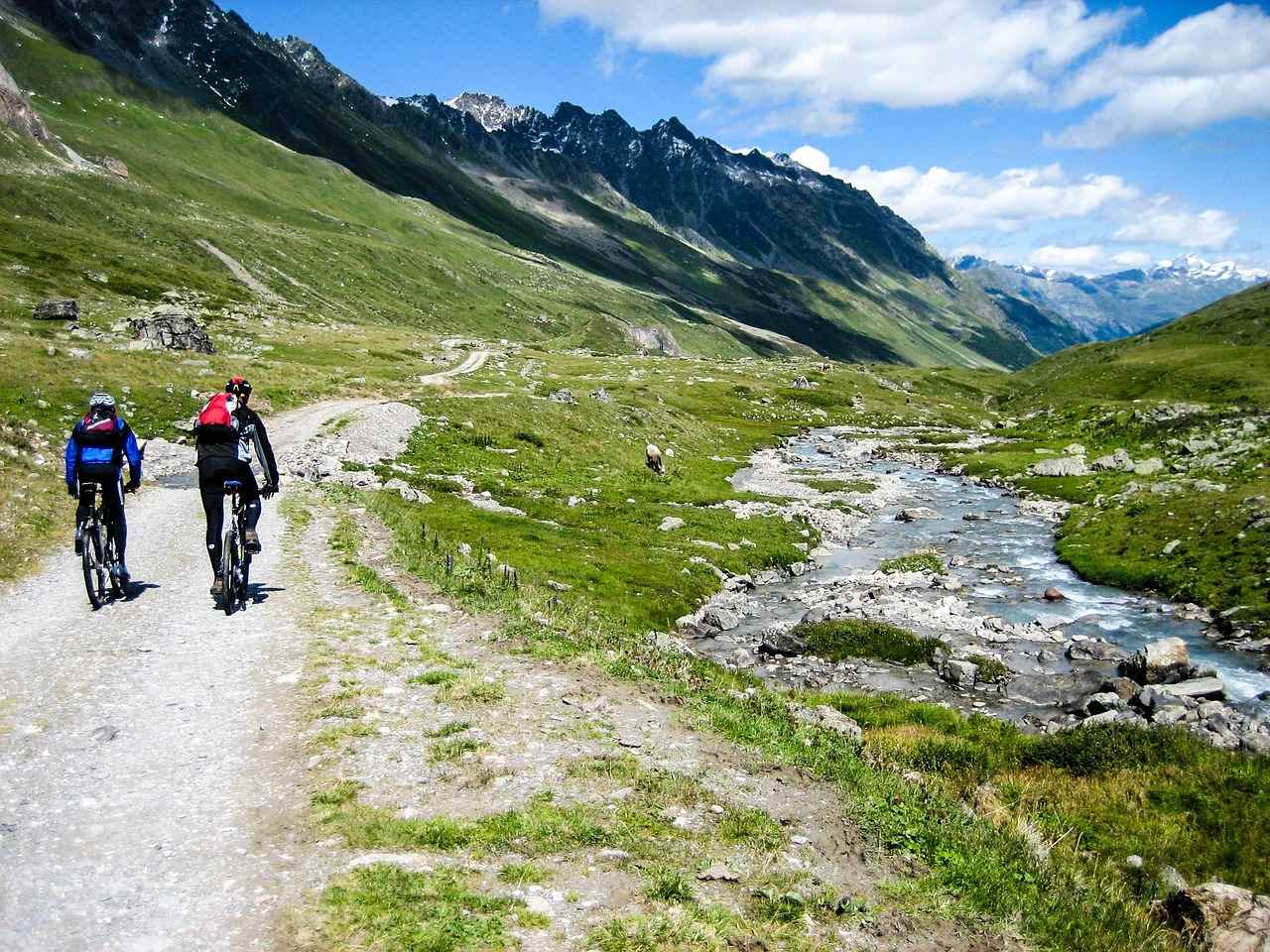 6. Conclusion: Choosing the Right Electric Mountain Bike