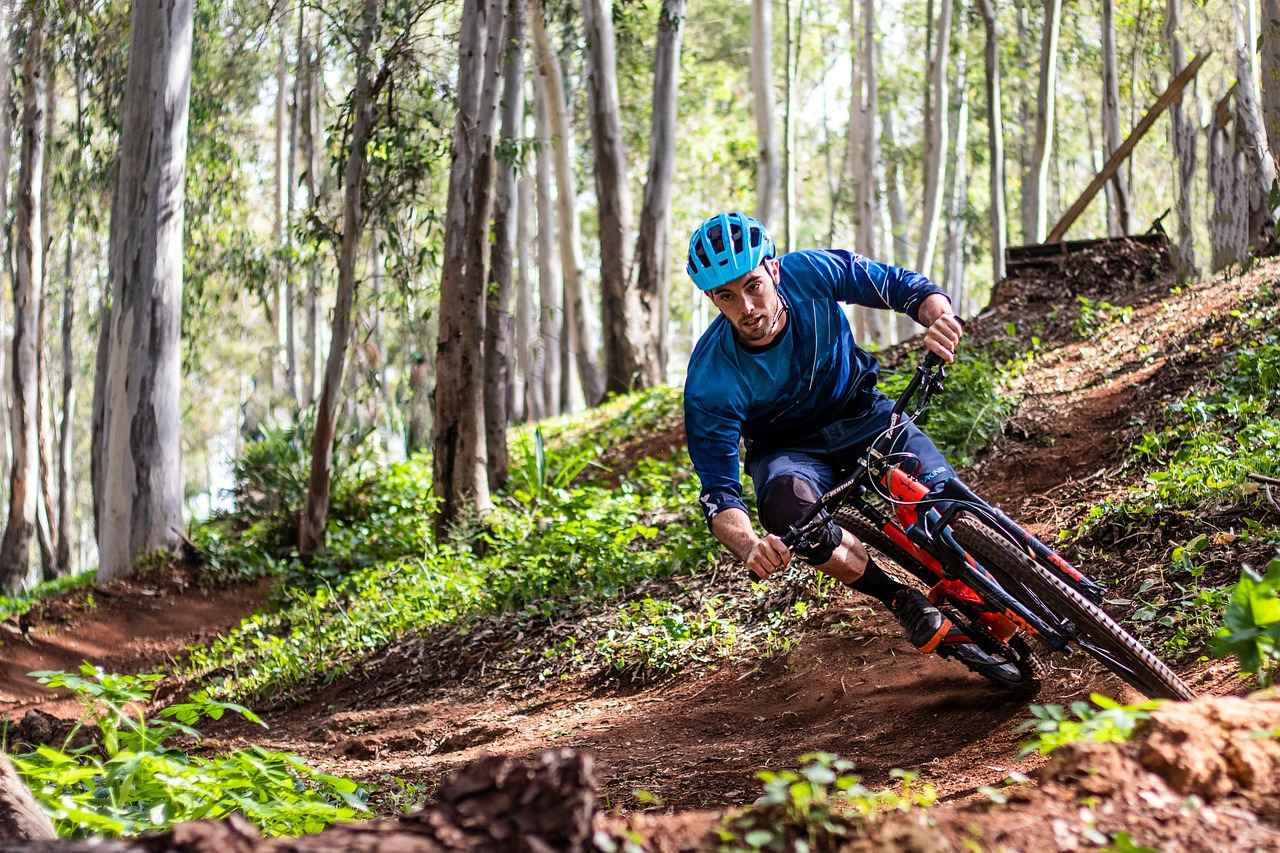 The Best Fat Tire Electric Bikes for Exploring Rough Terrain