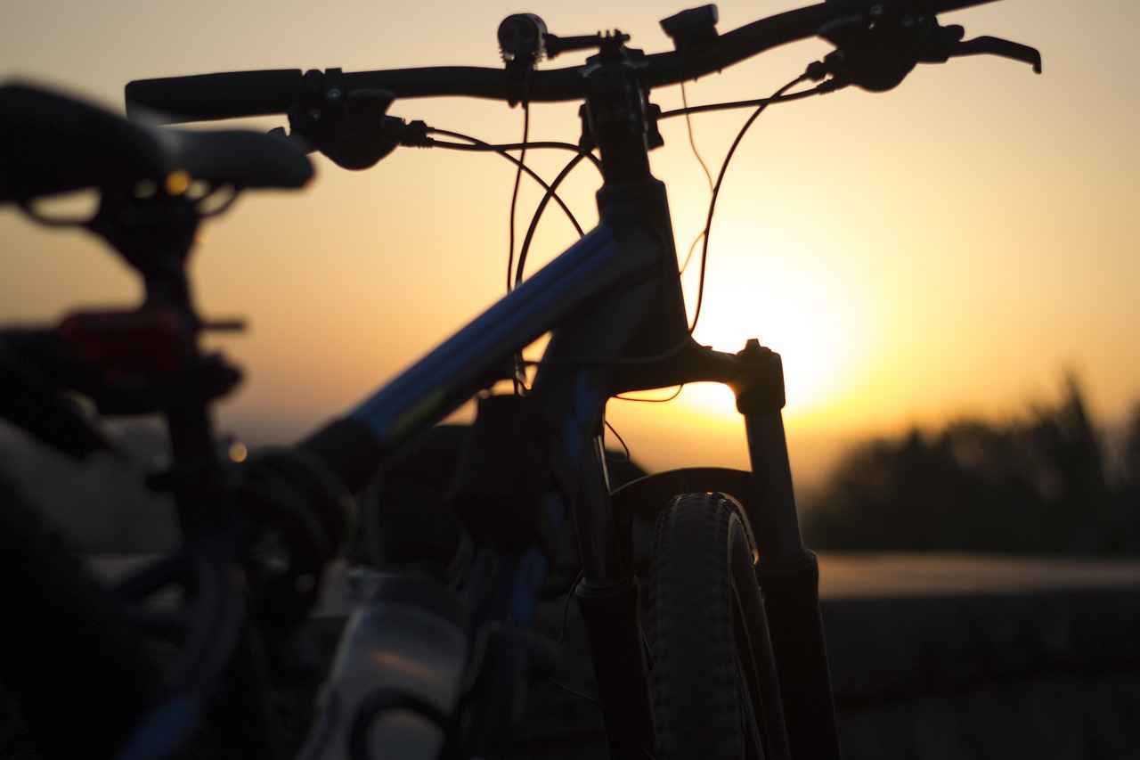 The Electric Bike Shop Near Me: What to Expect From Your Visit