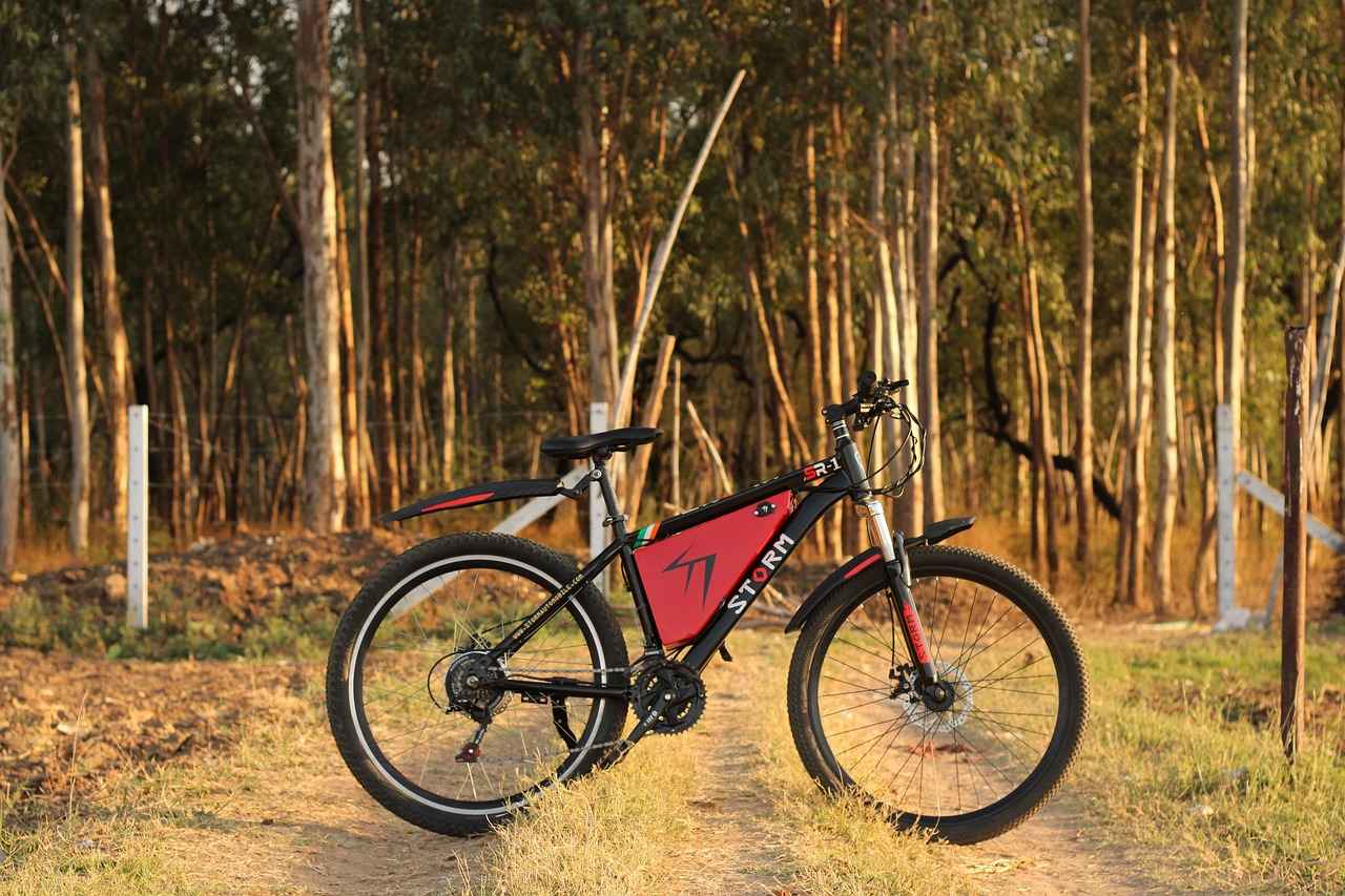 Benefits of Long Range Electric Bikes