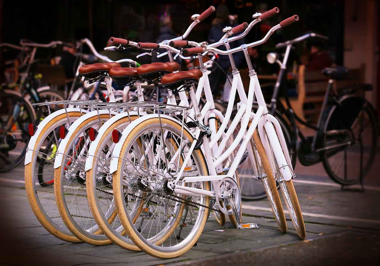 Battery Technology in Long Range Electric Bikes