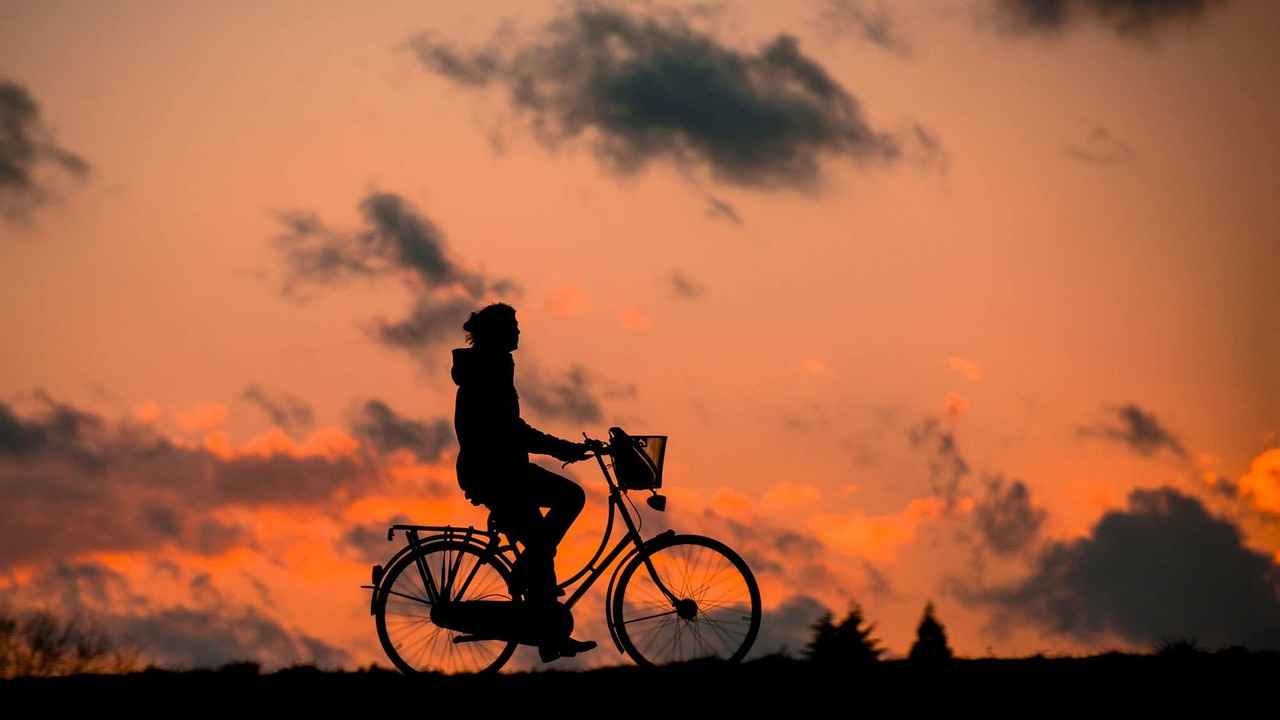 [7. Conclusion: Choosing the Right E-Bike]