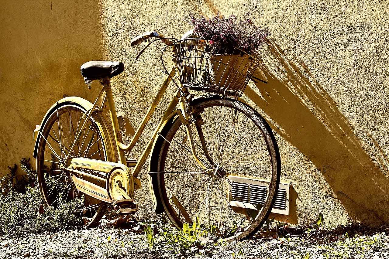 Conclusion: Embrace the Electric Bike Revolution