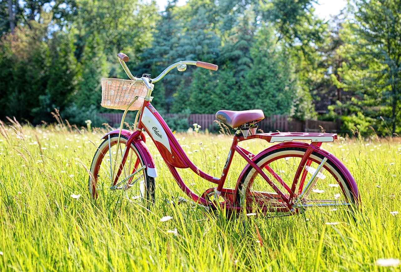 Final Thoughts on Buying Cheap Electric Bikes
