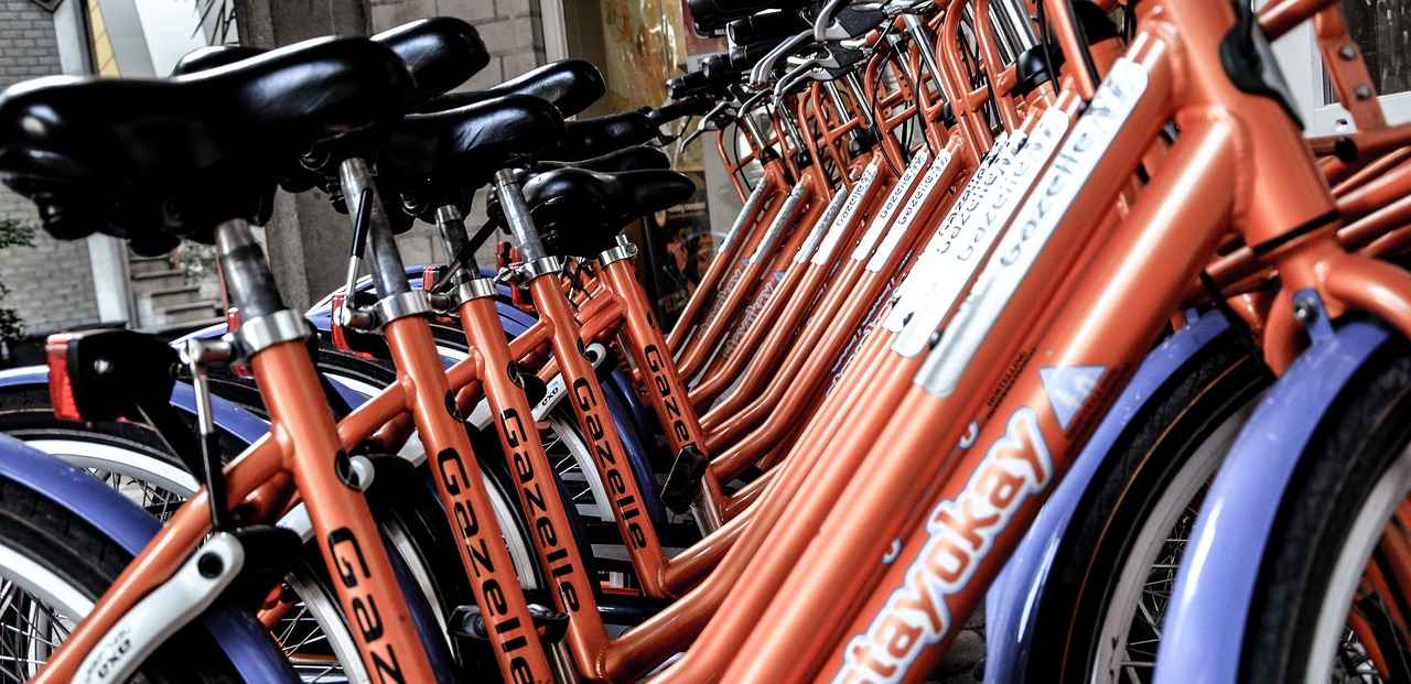 Where to Rent Electric Bikes Near Me