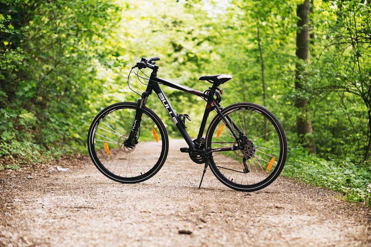 Where to Rent Electric Bikes Near Me for Your Weekend Trip