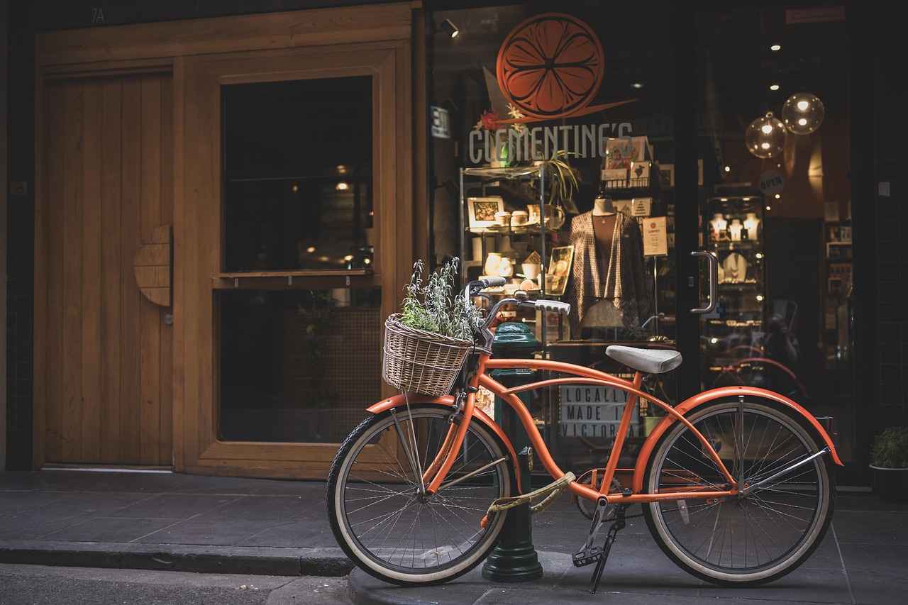 The Future of Electric Bikes in Urban Mobility